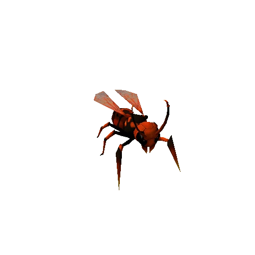 wasp_red