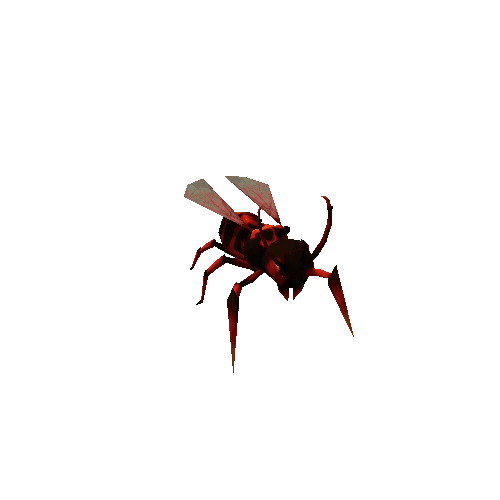 wasp_red2