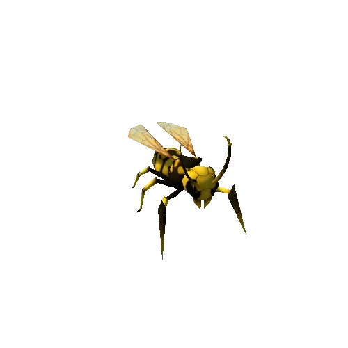 wasp_yellow