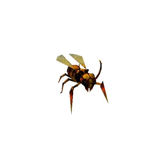 wasp_yellow2