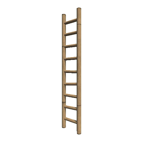 Bamboo_Ladder