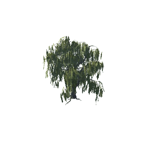 Tree_willow_01_cheap