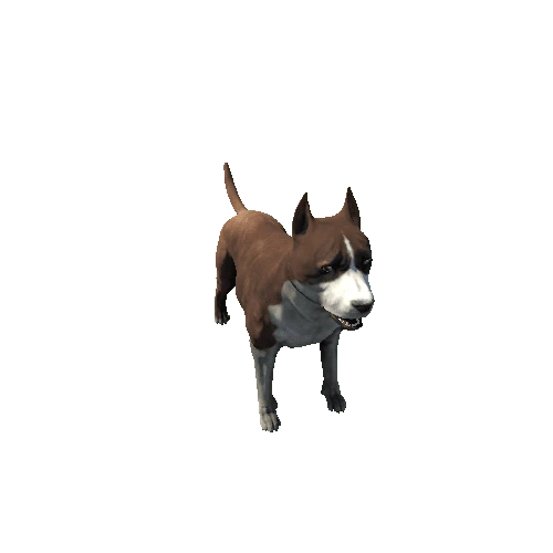 Amstaff01_FV_RM_SHP_Brown