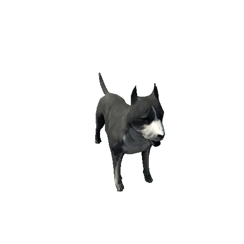 Amstaff01_FV_RM_SLP_Black