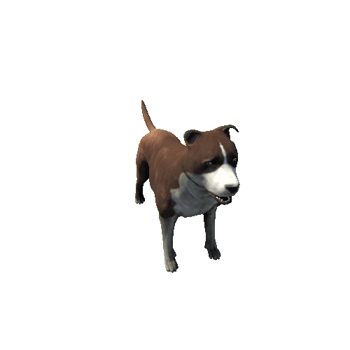 Amstaff_FV_RM_HP_Brown