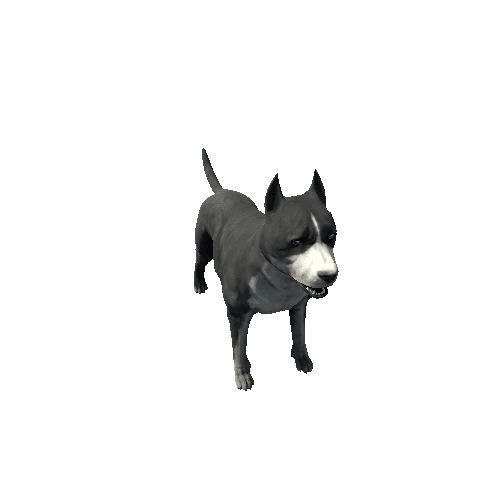 Amstaff01_SV_RM_HP_Black