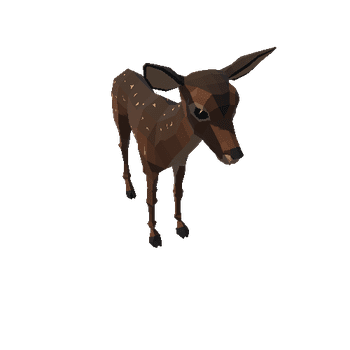 Fawn