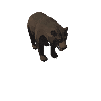 Bear_1