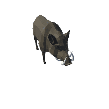 Boar