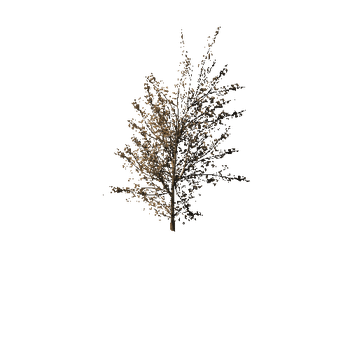 628 Maple Trees and Bushes Pack