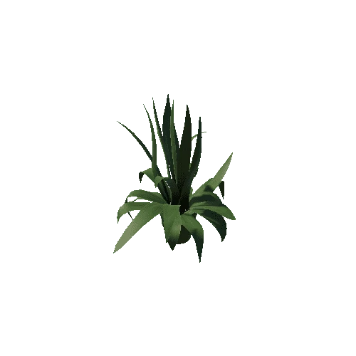 Plant02