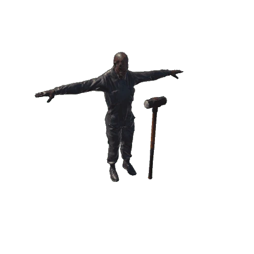 Mesh_Tpose