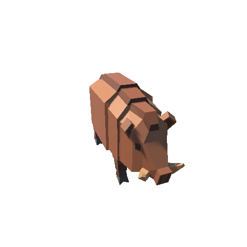 Boar_03