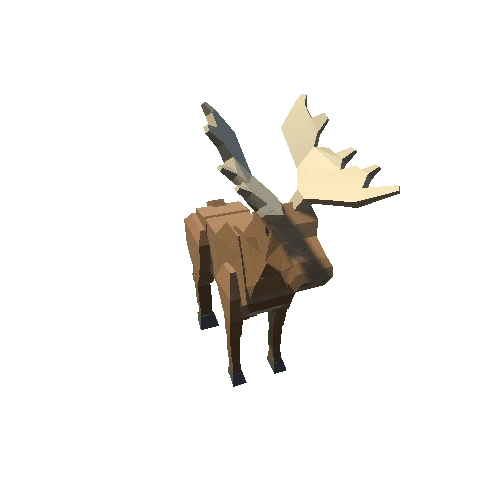 Moose_Male_02