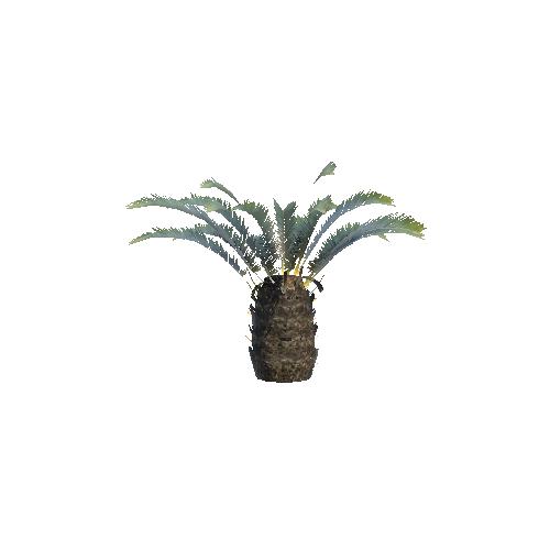 Plant5_1