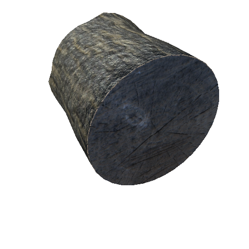 Stump_1