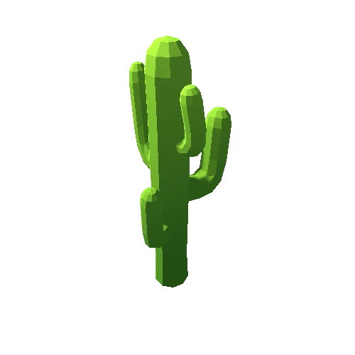 SaguaroCactus2