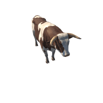 Bull_HighPoly_c1