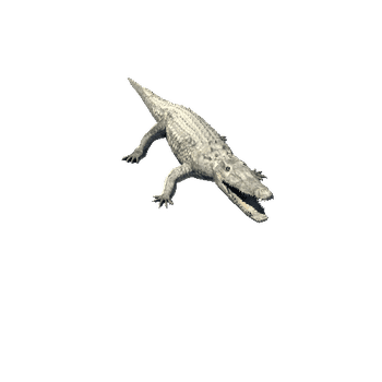 CrocodileLowPoly