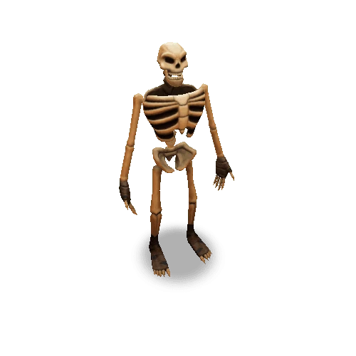 Skeleton