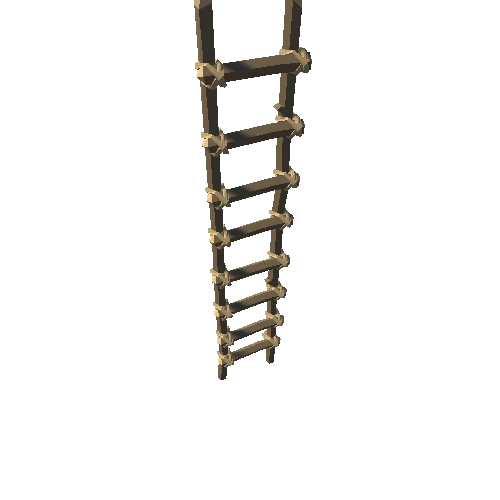 SM_Prop_Ladder_01