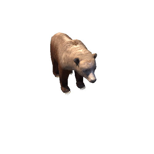 BrownBearLowPoly