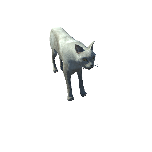 CatModelLowPoly