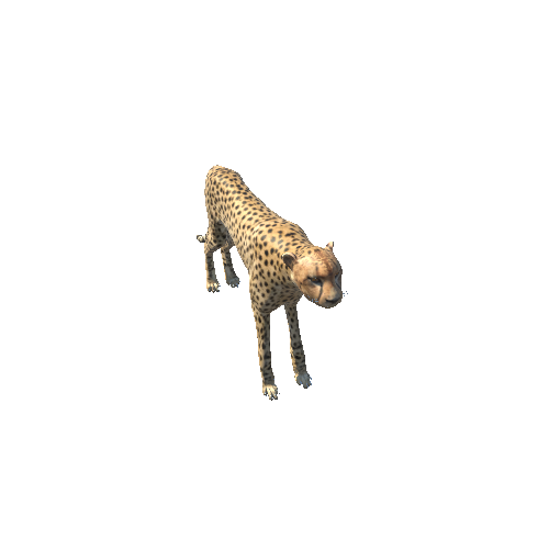 CheetahTowLODS