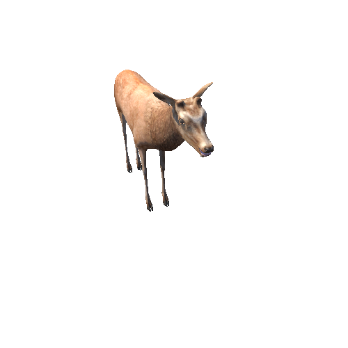 DeerModelNoAntlerMiddlePoly