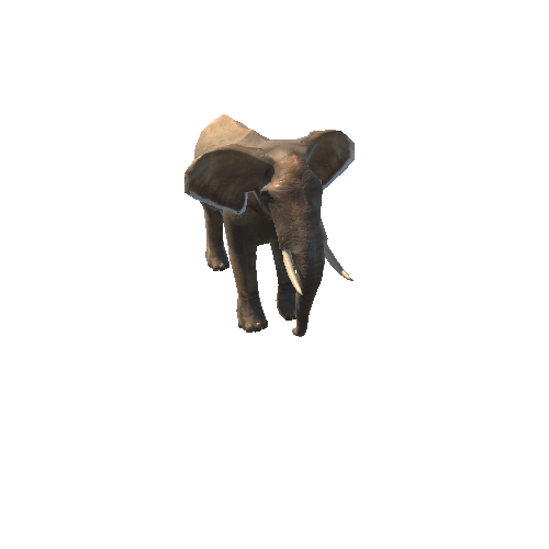 ElephantLowPoly