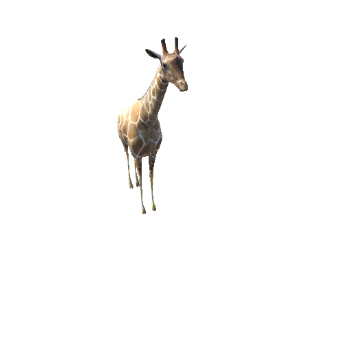 GiraffeModelMiddlePoly