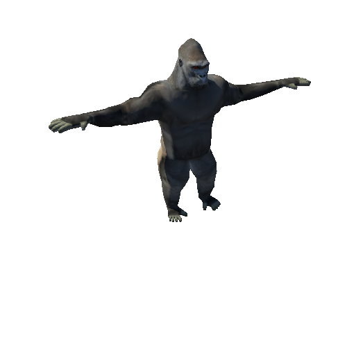 GorillaLowPolyRagdoll