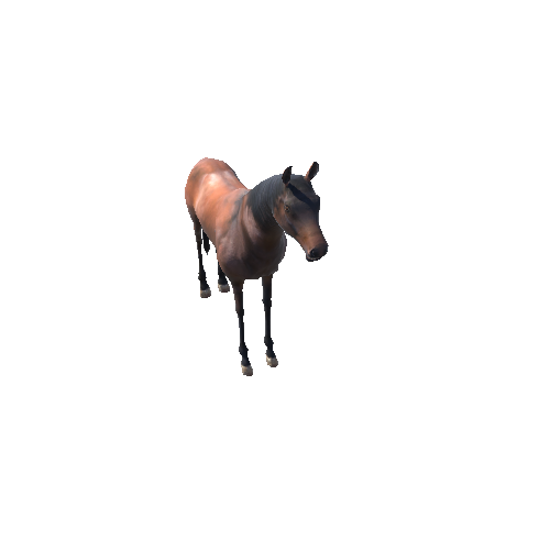 HorseModelLowPoly