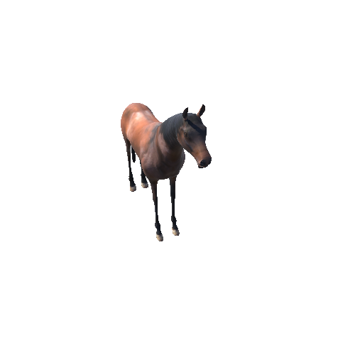 HorseModelMiddlePoly