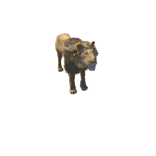 LionModelDoubleSidedLowPoly