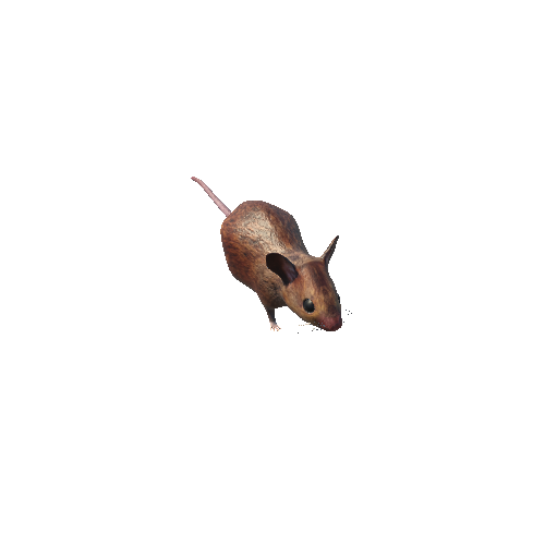 MouseMiddlePoly