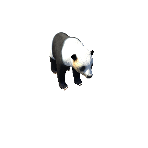 PandaMiddlePoly