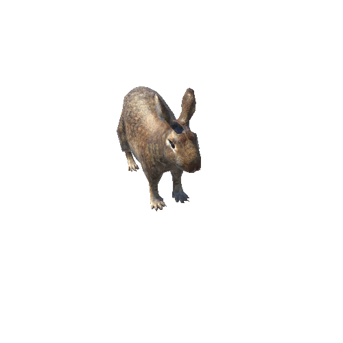 RabbitLowPoly