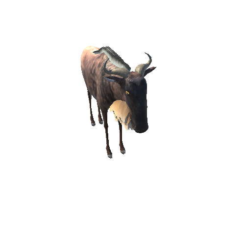 WildebeestModelLowPoly