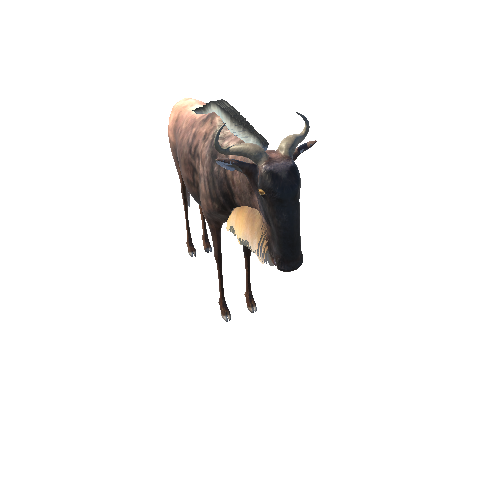 WildebeestModelMiddlePoly