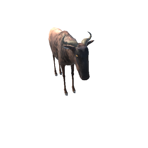 WildebeestModelNoFurLowPoly