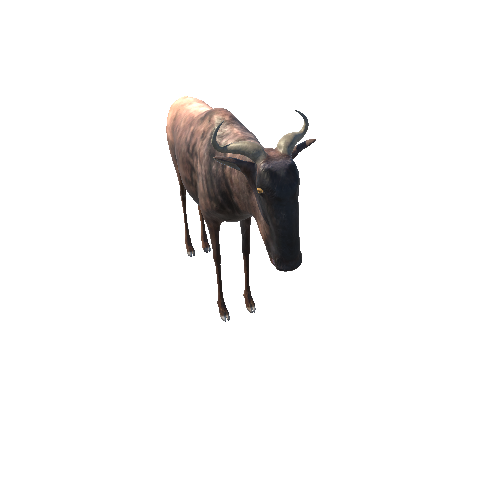 WildebeestModelNoFurMiddlePoly