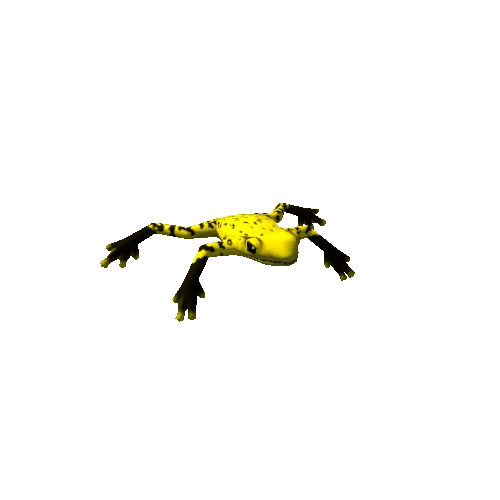 frog_yellow