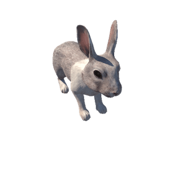 Rabbit_LOD_c1