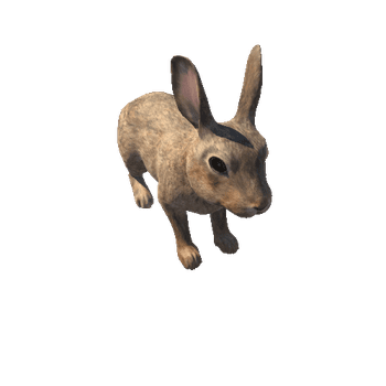 Rabbit_LOD_c2