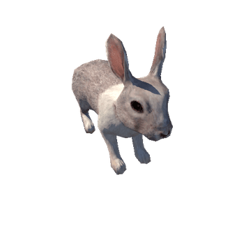 Rabbit_LowPoly_c1