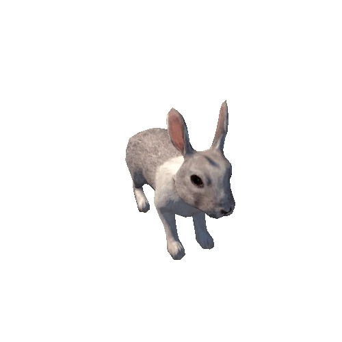 Rabbit_LowPoly_c1