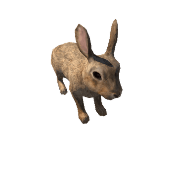 Rabbit_LowPoly_c2