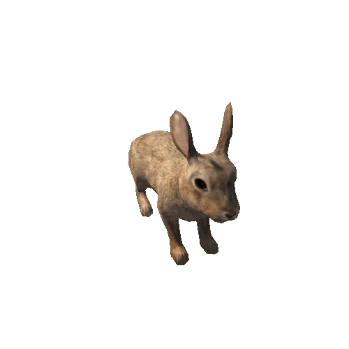 Rabbit_LowPoly_c2