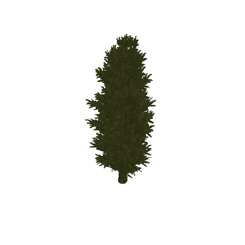 Pine_Tree_1A1